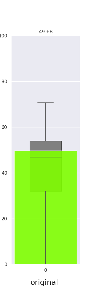 Shift Invariant Module